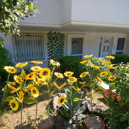 Katoulas House By Travelpro Services - Halkidiki Apartmán